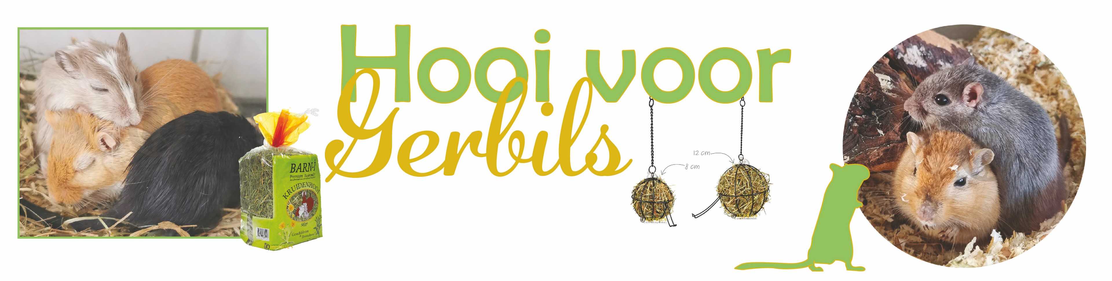 Hooi voor Gerbils